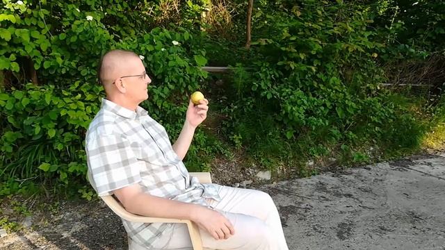 5353317720d36ca5c6206e272ddd4604