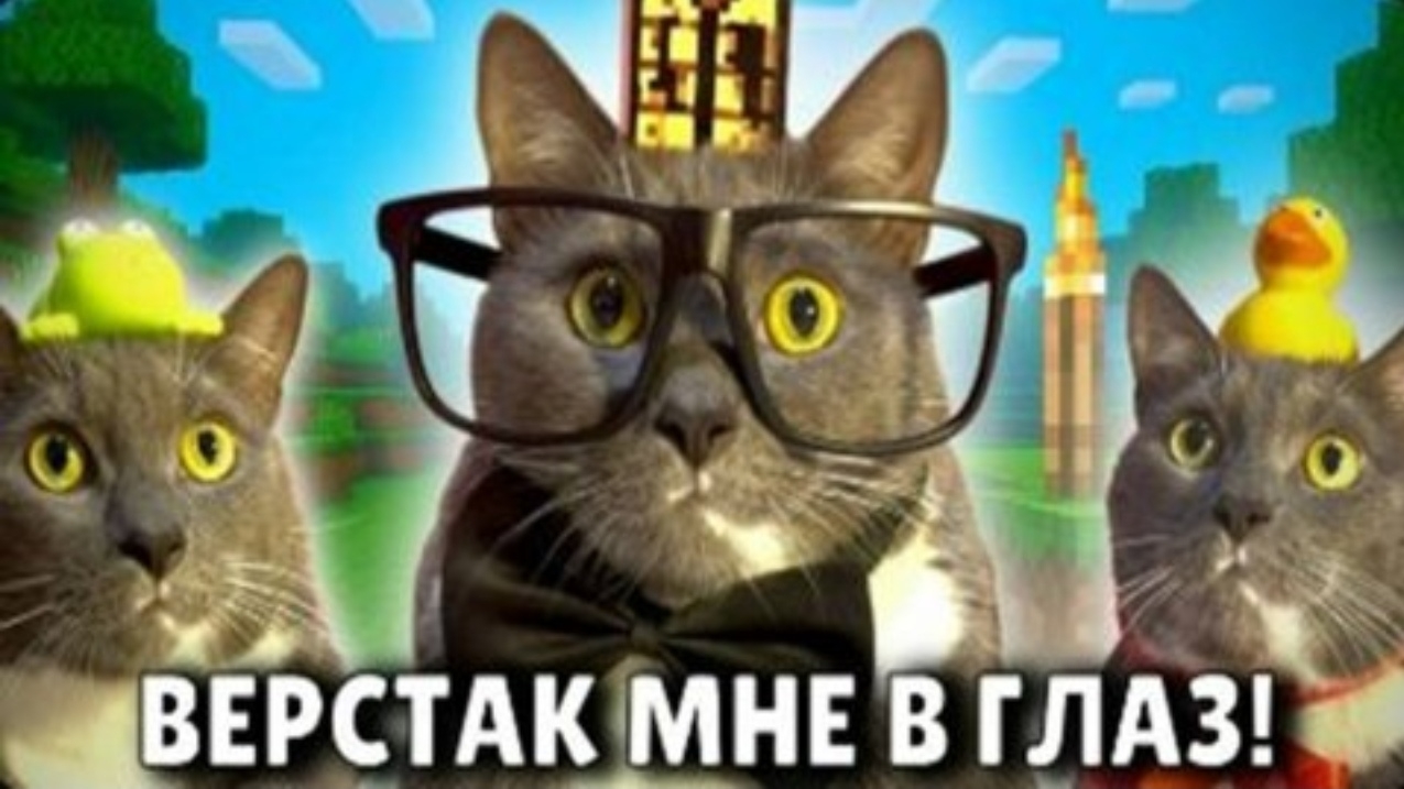 если бы котики ходили в школу учитель Майнкрафта перезалив Kotinet