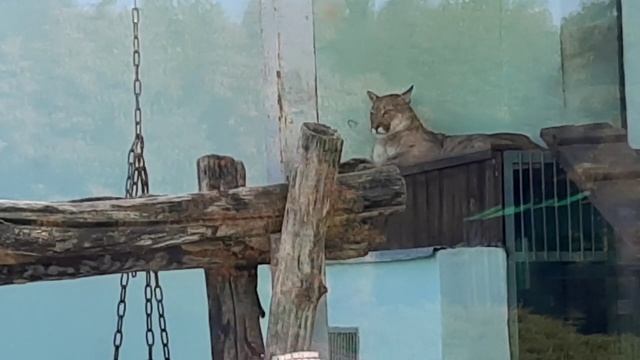 E2f64e431872b4605e49ca67cc23675d