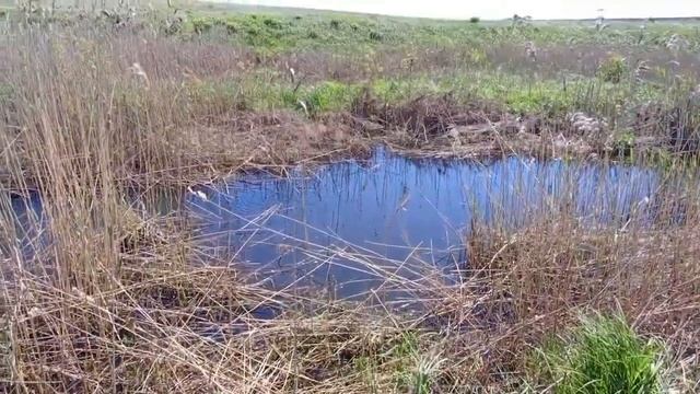 эпичная борьба с крупной щукой