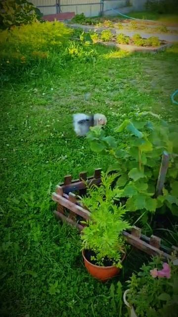 8bc43abd663e746aa3524a65db946097