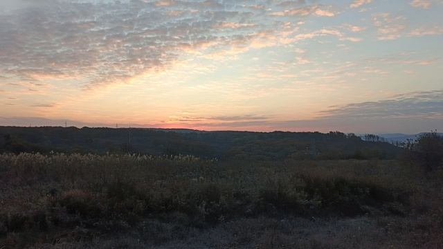 Утро в Уссурийске. Часть 2.