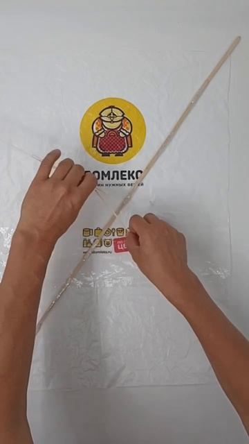 Воздушный змей от Домлекса