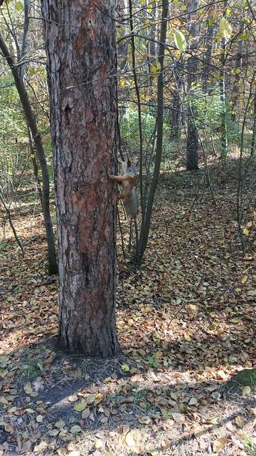 В мире белок