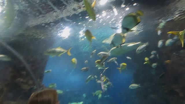 1d4892cf51ebe8c8028db1af04f2d4f8