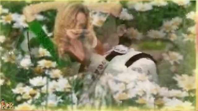 птицы спать не дают