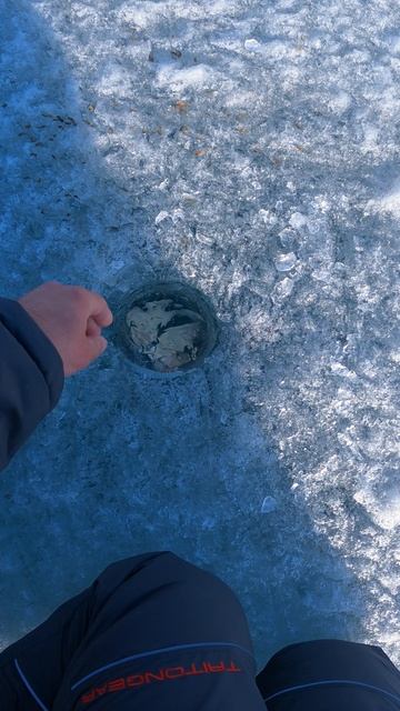 КТО КОРМИТ ТОТ И ЛОВИТ