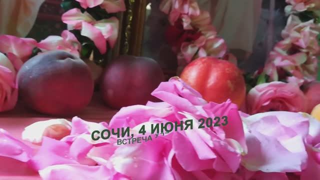 Ef64c8345f654c6ee91d02a731a6dddb