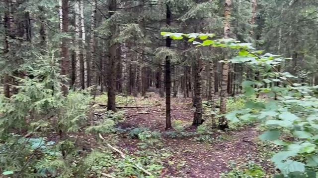 г. Кубинка, ш. Наро-Фоминское