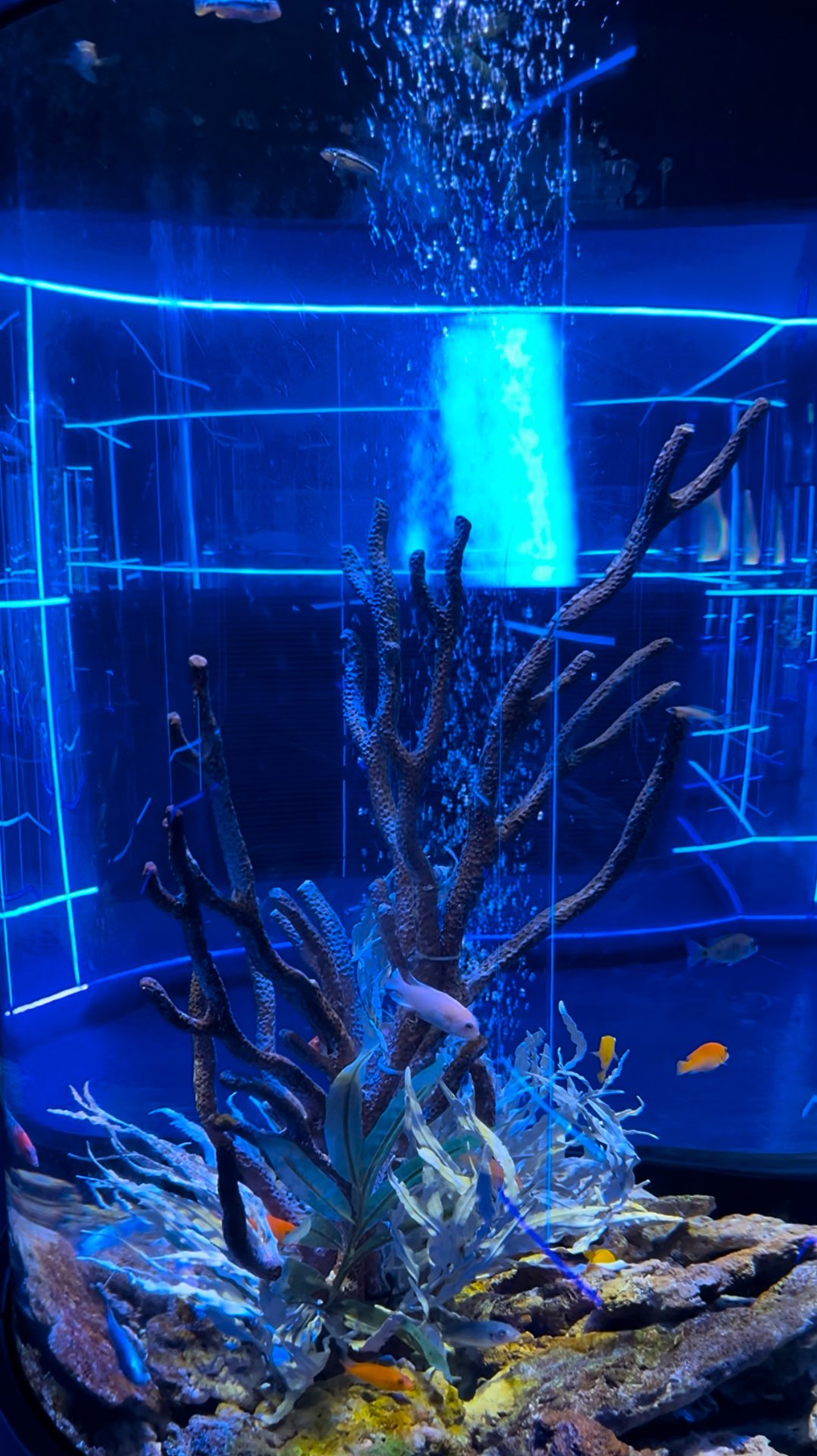 89d7062b45f3e29f575b6c7b15a04366