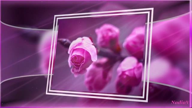 Очень красивые цветы