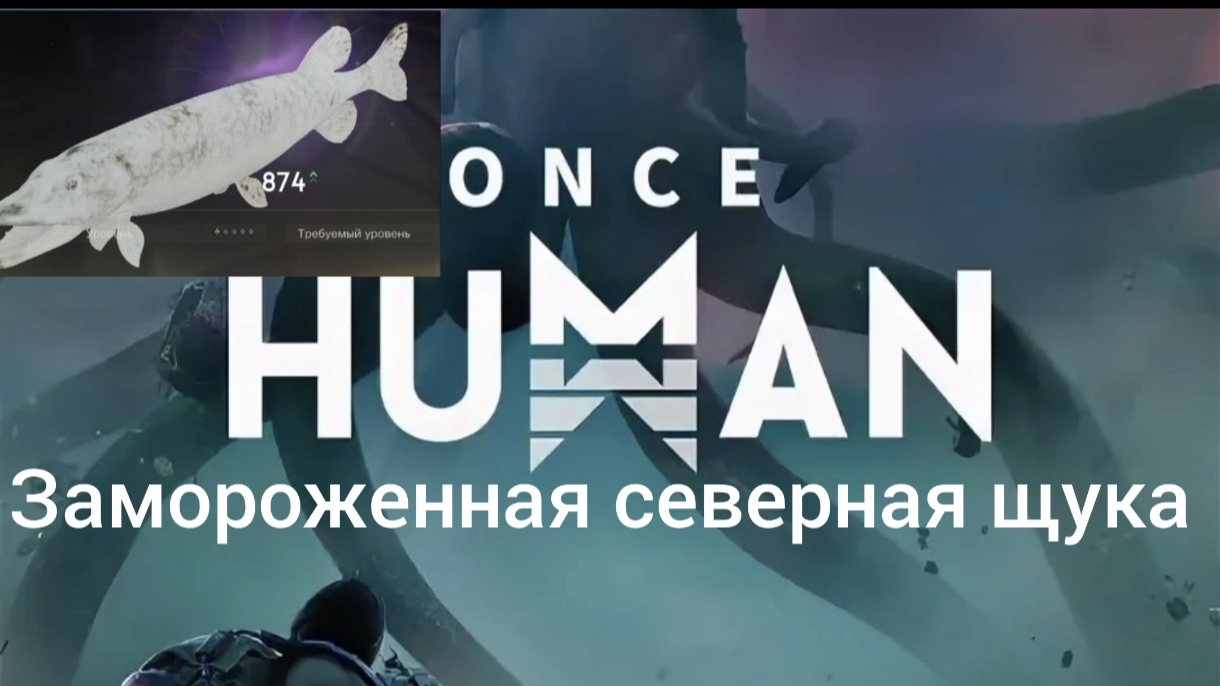 Once Human - Замороженная северная щука, где найти ?