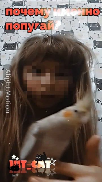 как думаете снимать мне про попугаев?