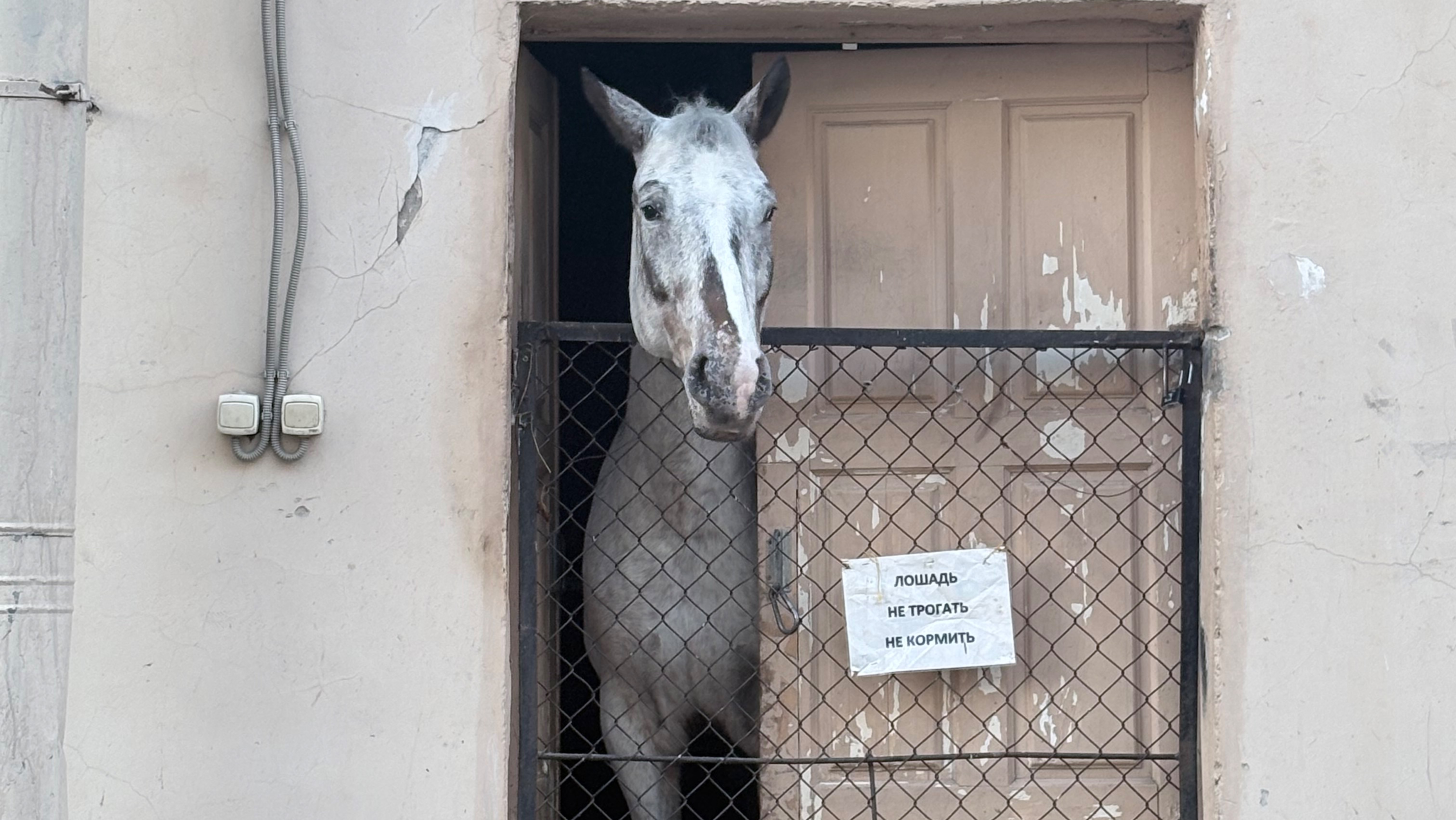 Неожиданная встреча!
