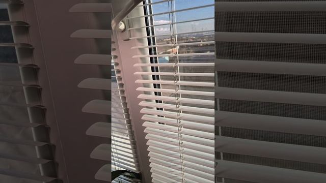 Три условия цветения орхидей