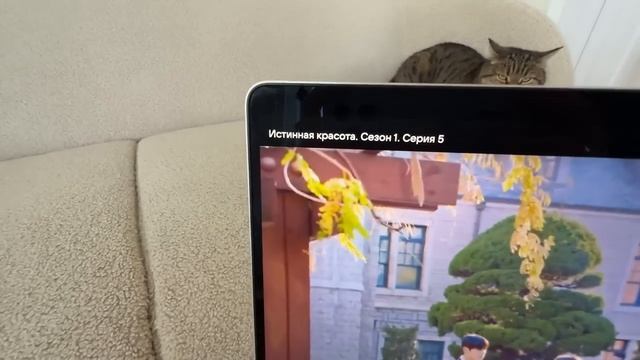 1357e93c8ad50f8e490f617152a72d49