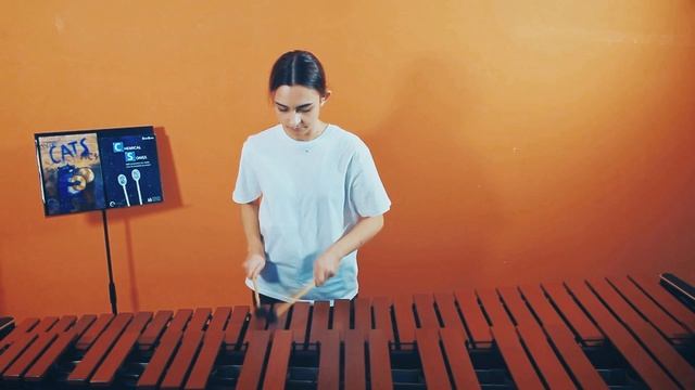 Карина Гапчук / Cheetahs Drumline / Friendly Banter