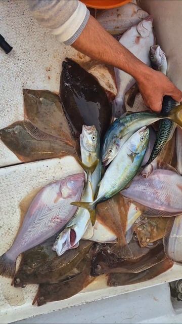 Морская рыбалка во Владивостоке +79147374096