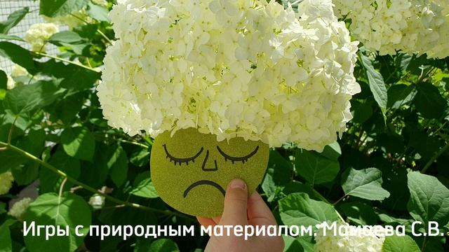 Экопарикмахерская