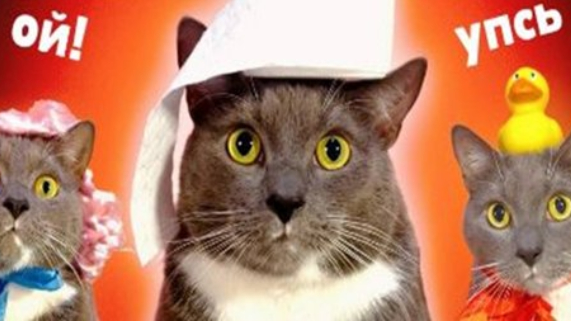 КОТИКИ В ШКОЛЕ - БУМАЖКИН       ПЕРЕЗАЛИВ  KOTINET