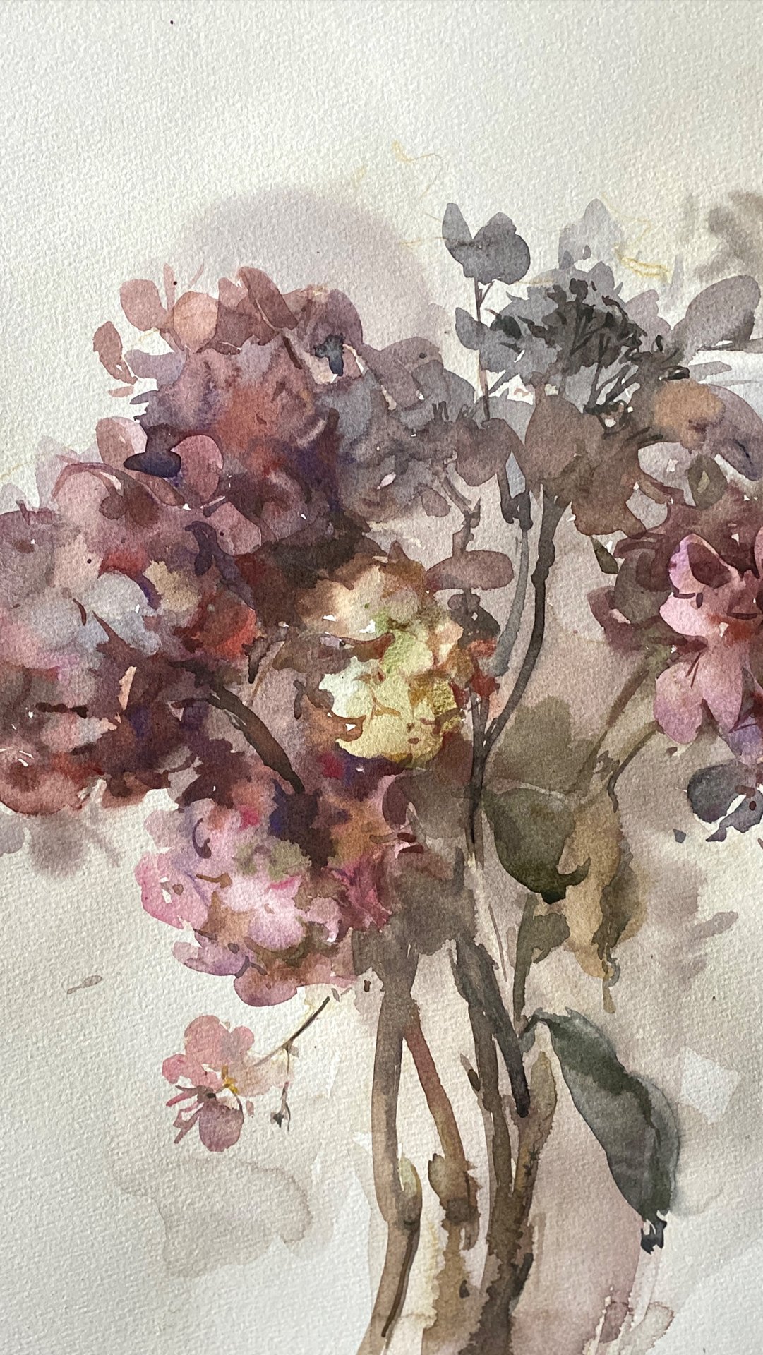 Букет гортензий. Акварель. 2025. короткое видео