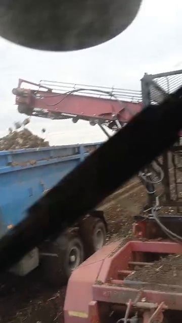 VID-20251027-WA0007.mp4