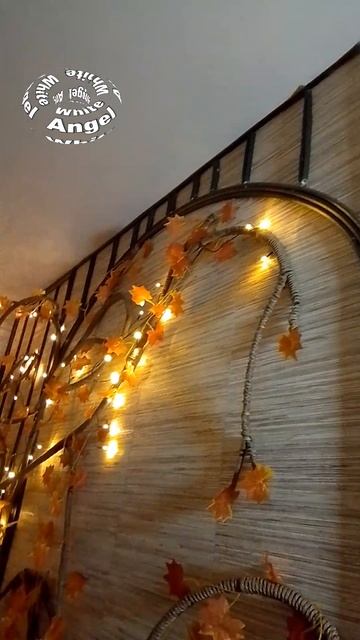 2f16c8ff9d99146a545ae7879e4eafe2