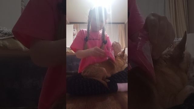 распаковка