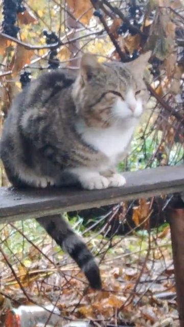 7f568acebc2cf2e0caea4d6604f6965f