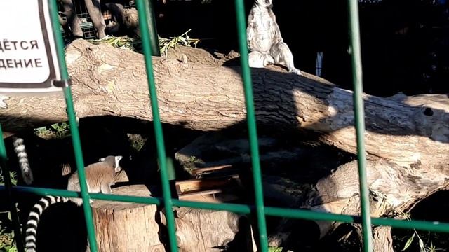 F278b6125284e299519a74e2e482f728