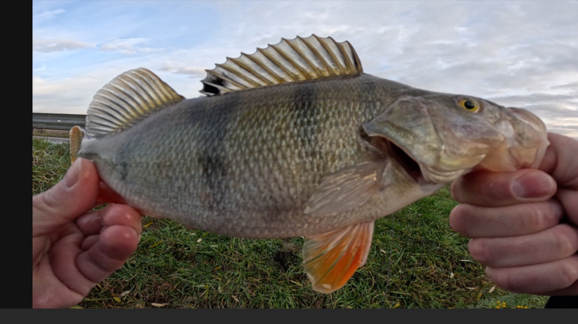 Ультралайт. Ловля на Спиннинг. Октябрь. 27.10.2025. Super Corto 582.