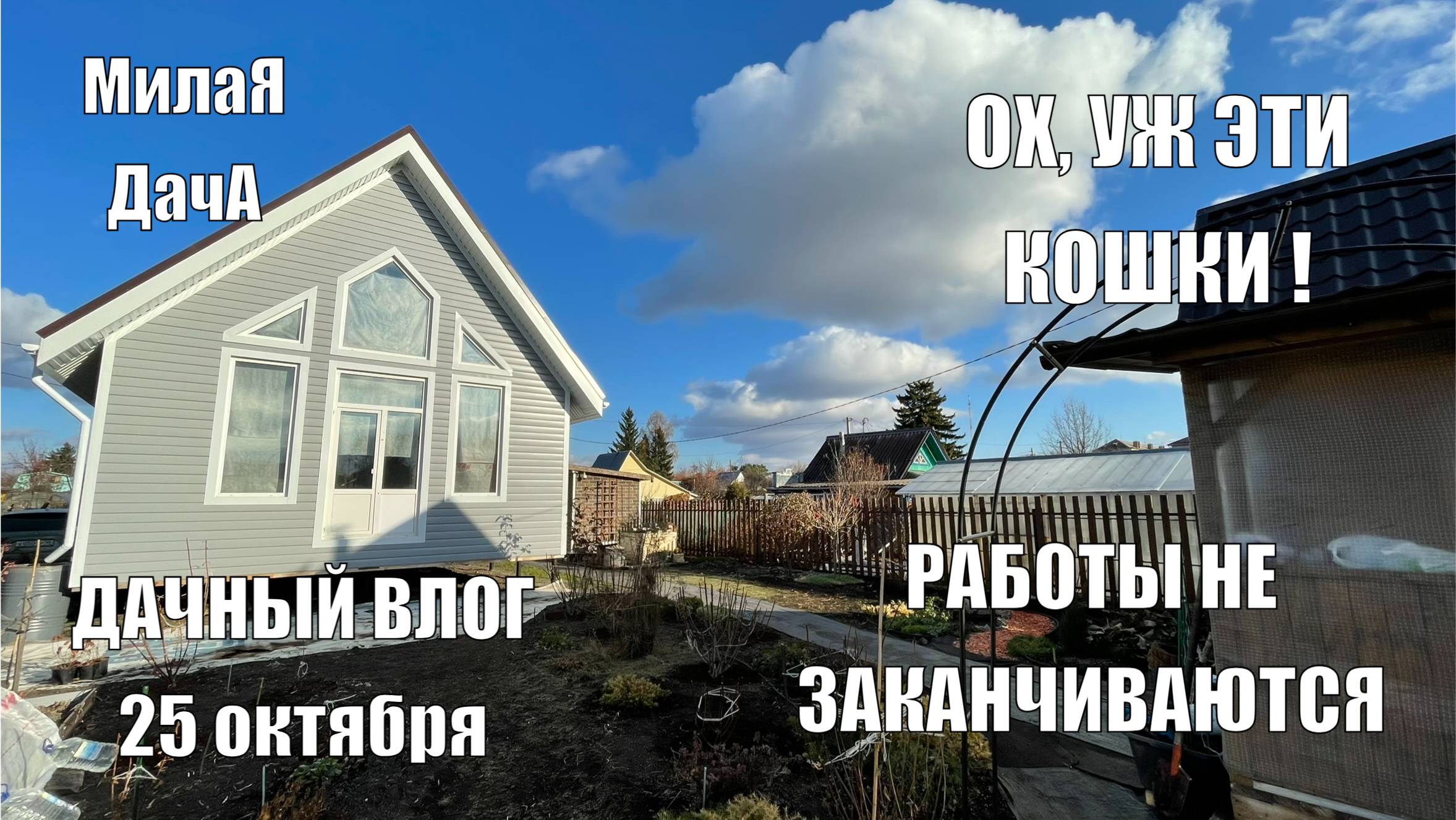 Сделали третий компостник | Коты портят имущество | Дачный влог 25 октября