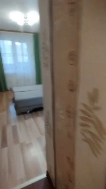 Обзор студии в СПБ. Лыжный переулок дом 4 корпус.3 .mp4