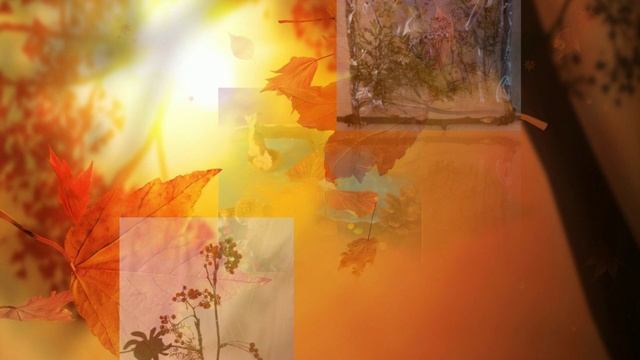 Видео выставка поделок из природных материалов 