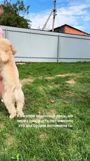 Когда мангал — не просто железо, а часть семьи.