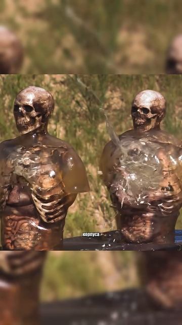 Пуля массой 250 грамм. Эксперимент.