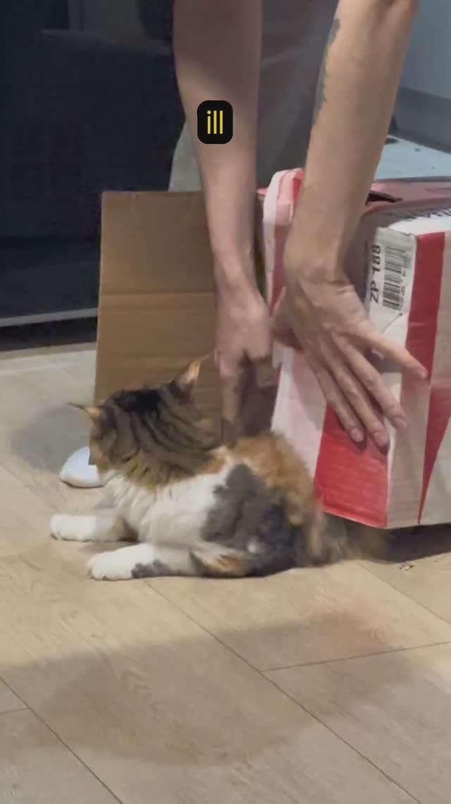 лайк, если понравилось ✨