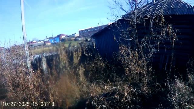 Г. ТАЛИЦА. ИДЁМ В ГОРОД ПРОГУЛКА