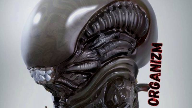 ORGaniZM - Письмо под дождём