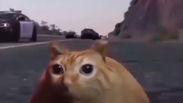Я бегаю от училки