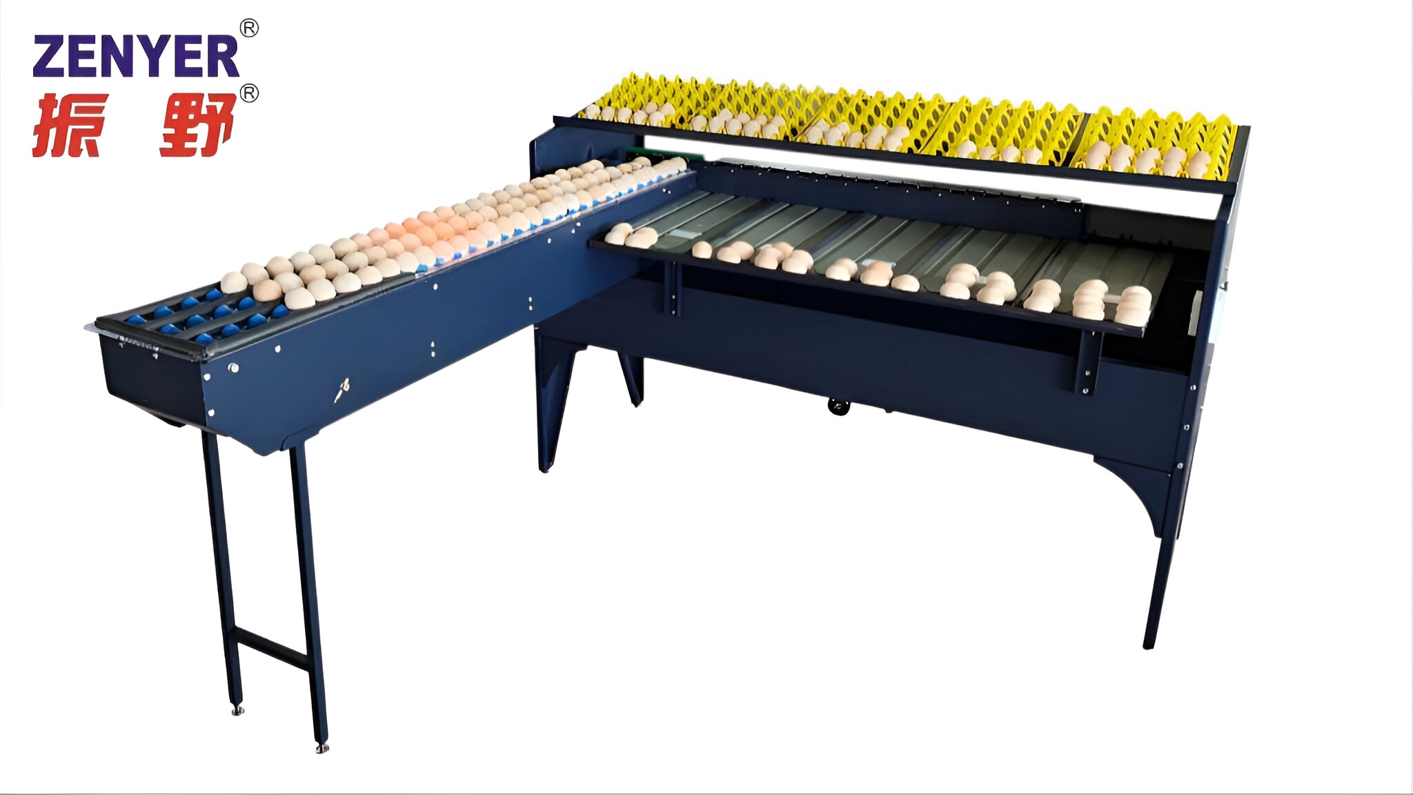 Zenyer 102A Egg Grader Capacity Of 5400 Eggs/hour