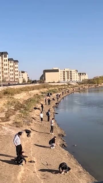 Движуха на речке