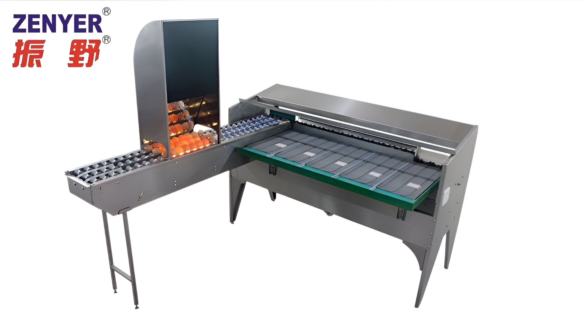 Zenyer 102B Egg Grader Capacity Of 5400 Eggs/hour
