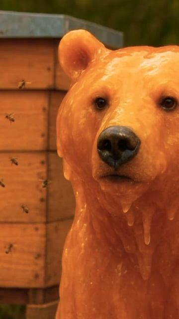 медо медо медомедведо