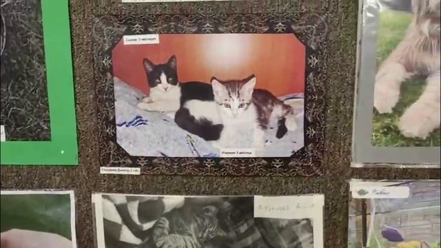 704f0d9f728404b1c39d80ada6f11e22