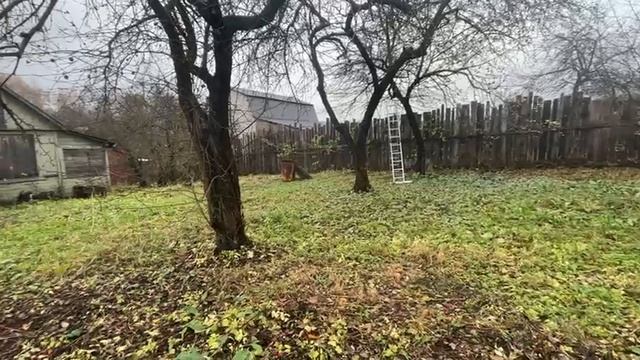 Объект 10235518