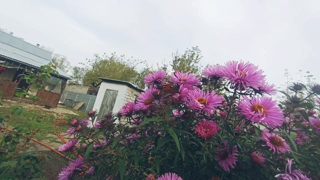 3:октября 2025 года .