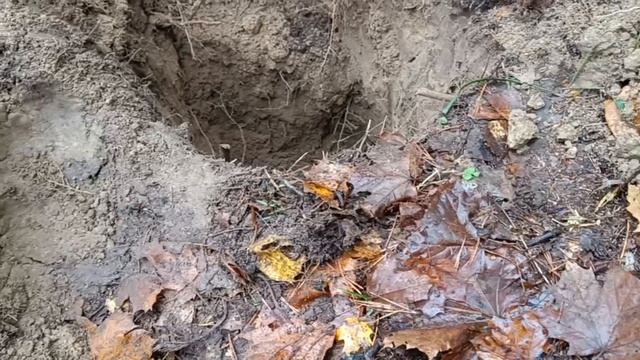 Начало раскопок 30.10