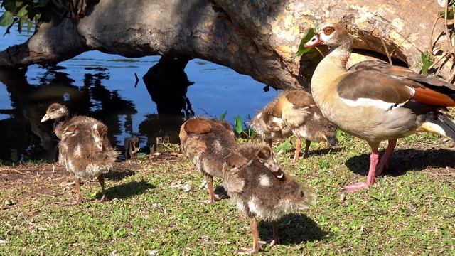 8cb050471e546761a277c8064a596421