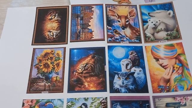 Блокнот с хомячьей норой. 👏 Запасы на бумаге😉.mp4